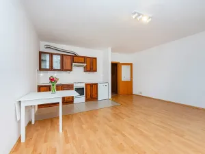 Pronájem bytu 1+kk, Praha - Libeň, Nad Okrouhlíkem, 42 m2