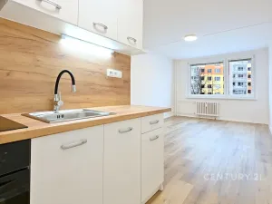 Pronájem bytu 2+kk, Most, Jana Kříže, 40 m2