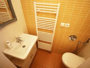 Pronájem bytu 1+kk, Teplice, Alejní, 31 m2