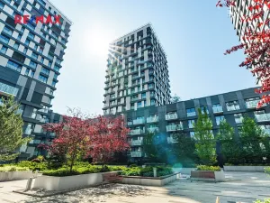 Pronájem bytu 1+kk, Praha - Žižkov, Olšanská, 37 m2