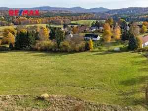 Prodej pozemku pro bydlení, Velká Bukovina, 1237 m2