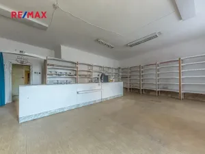 Prodej rodinného domu, Lomnice nad Lužnicí, Tyršova, 315 m2