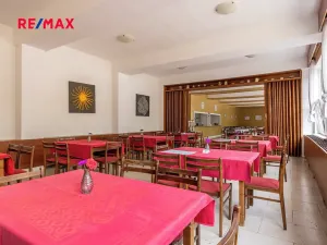 Prodej rodinného domu, Doksy, Pod Borným, 1700 m2