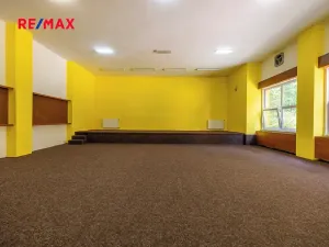 Prodej rodinného domu, Doksy, Pod Borným, 1700 m2