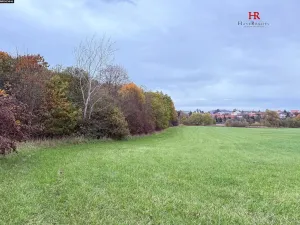 Prodej pozemku, Neveklov, 10516 m2