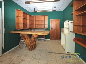 Prodej vícegeneračního domu, Nové Město pod Smrkem, Mírové náměstí, 466 m2