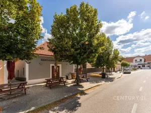 Prodej vícegeneračního domu, Kamýk nad Vltavou, 320 m2