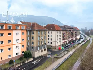Prodej bytu 2+1, Ústí nad Labem, Střekovské nábřeží, 60 m2