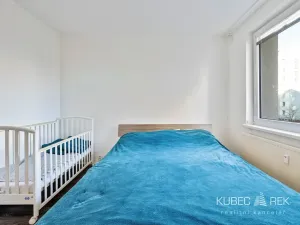 Prodej bytu 3+1, Tábor, Hanojská, 74 m2