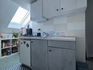 Pronájem bytu 1+1, Třeboň, Strouha, 35 m2