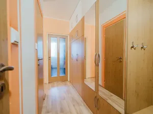 Prodej bytu 2+kk, Brno, Svážná, 47 m2
