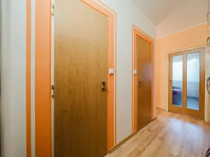 Prodej bytu 2+kk, Brno, Svážná, 47 m2