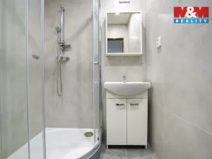 Prodej bytu 2+1, Ostrava - Slezská Ostrava, Bohumínská, 50 m2