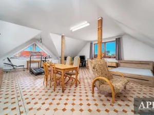 Prodej rodinného domu, Veselí nad Moravou, Zarazická, 266 m2