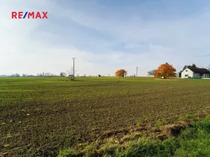 Prodej pozemku pro bydlení, Všechlapy, 9214 m2