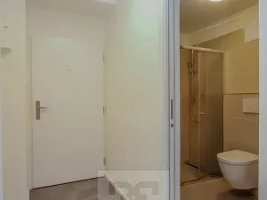 Pronájem bytu 1+kk, Praha - Holešovice, Vinařská, 40 m2