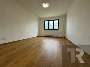 Pronájem bytu 3+1, Líté, 81 m2