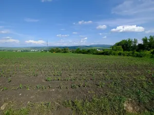 Prodej zahrady, Uherský Brod, 2032 m2