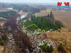 Prodej lesa, Česká Bělá, 1126 m2