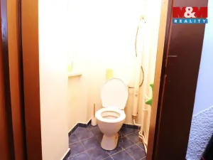 Pronájem bytu 2+1, Ostrov, Tylova, 68 m2