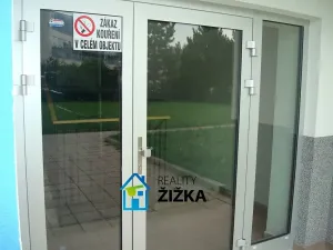 Pronájem bytu 1+kk, Brno, třída Generála Píky, 24 m2