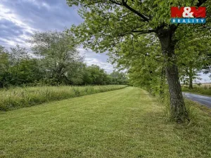 Pronájem pole, Žleby - Zehuby, 6932 m2