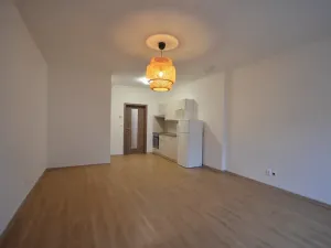 Pronájem bytu 1+kk, Olomouc, Novosadský dvůr, 64 m2