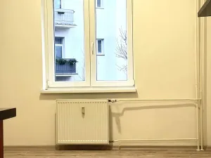 Prodej bytu 1+1, Plzeň, Tělocvičná, 47 m2