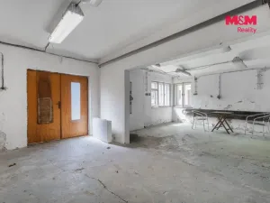 Prodej obchodního prostoru, Česká Kamenice, Lipová, 1225 m2