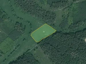 Prodej podílu pole, Poběžovice, 64029 m2