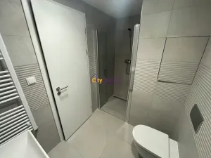 Pronájem bytu 1+kk, Praha - Hloubětín, Poděbradská, 30 m2