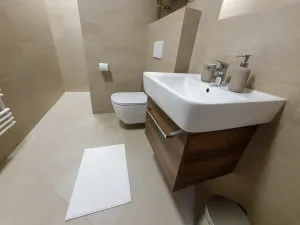 Prodej vícegeneračního domu, Pasohlávky, 320 m2