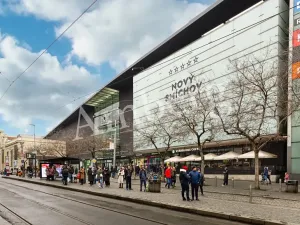 Pronájem bytu 2+kk, Praha - Smíchov, Staropramenná, 65 m2