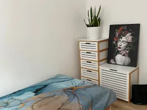 Prodej bytu 2+1, Ostrava, Václava Košaře, 44 m2