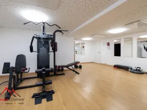 Pronájem apartmánu, Ostrava, Cihelní, 43 m2