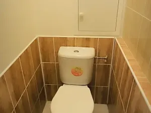 Prodej bytu 2+1, Ostrava, Krasnoarmejců, 52 m2