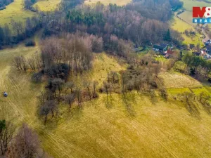 Prodej louky, Žandov - Radeč, 3251 m2