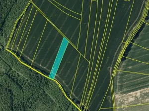 Prodej pole, Kojetín, 2603 m2