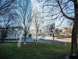 Pronájem obchodního prostoru, Praha - Holešovice, Jankovcova, 291 m2