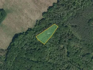 Prodej pole, Horušice, 20462 m2