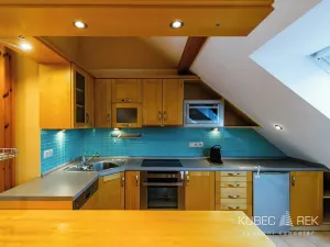 Pronájem bytu 1+kk, Tábor, Třebízského, 60 m2