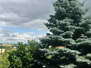 Prodej rodinného domu, Líský, 250 m2