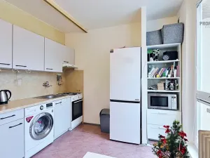 Pronájem bytu 1+1, Brno, ulice Čoupkových, 36 m2