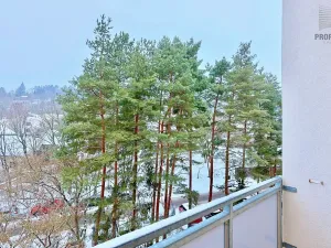 Pronájem bytu 1+1, Brno, ulice Čoupkových, 36 m2