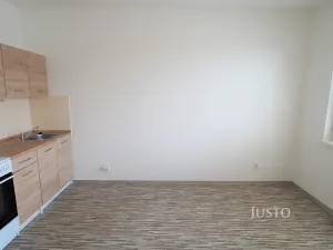 Pronájem bytu 1+kk, Písek, Dr. M. Horákové, 20 m2