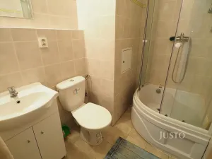 Pronájem bytu 1+kk, Písek, Dr. M. Horákové, 20 m2