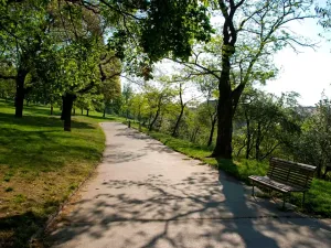 Pronájem bytu 2+kk, Praha - Žižkov, Buchovcova, 47 m2