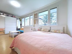 Prodej bytu 1+1, Čelákovice, Rumunská, 33 m2