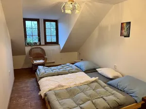 Prodej chalupy, Orlické Podhůří, 267 m2