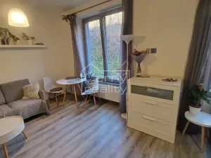Pronájem bytu 1+kk, Chrudim, Podkopanický mlýn, 30 m2